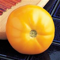Carolina Gold Tomato