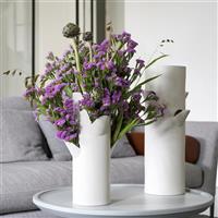 Wings Musical Limonium