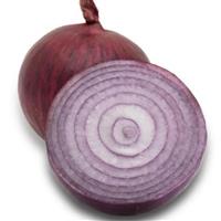 Red Marley Onion