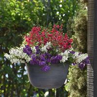 Patriotic Heart MixMasters™