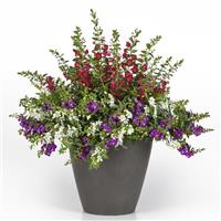 Patriotic Heart MixMasters™