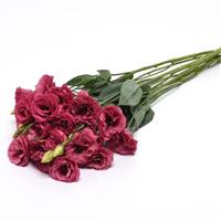 ABC™ 2 Rose Improved Lisianthus