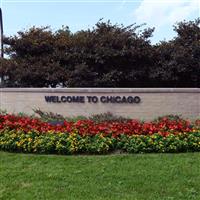 Big Red With Green Leaf Begonia