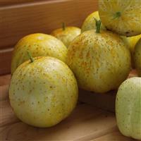 Lemon Cucumber