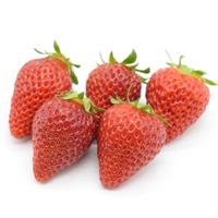 Berrylicious Strawberry