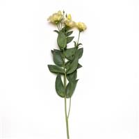 ABC™ 3 Yellow Lisianthus