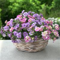 FunTopia Utopia Trixi®