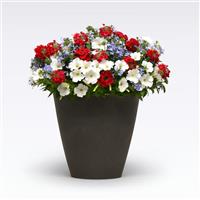 Heartland 27 MixMasters™