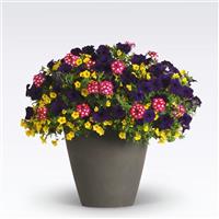 Over The Top 27 MixMasters™