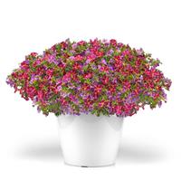 Starspinner 27 Trixi®