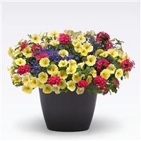 Gimme Some Sugar MixMasters™