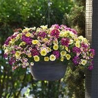 Great Escape MixMasters™