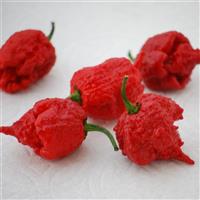 Carolina Reaper Pepper