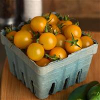 Unicorn Yellow Tomato