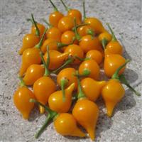 Button Yellow Pepper