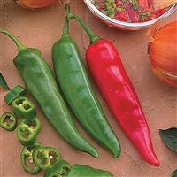 Garden Salsa Pepper