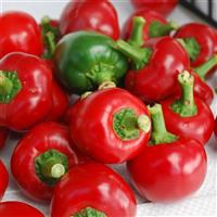 Red Cherry Hot Pepper