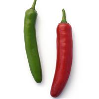 Serrano Pepper