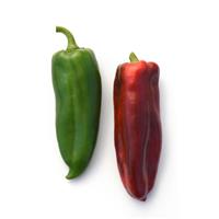 Anaheim Pepper