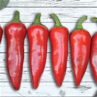 Flaming Flare Pepper