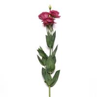 ABC™ 2 Rose Lisianthus