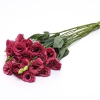 ABC™ 2 Rose Lisianthus