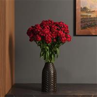 Sweet™ Cherry Dianthus