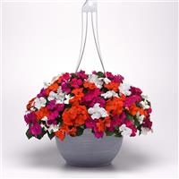 Beacon<sup>®</sup> Lindau Mixture Improved Impatiens