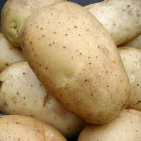 Mr. Potato Potato