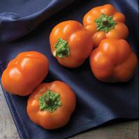 Orange You Sweet Pepper