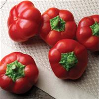 Right on Red Pepper