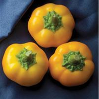 Yes to Yellow Pepper