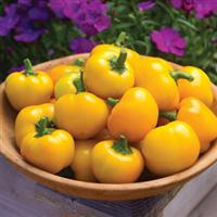 Tweety Pepper