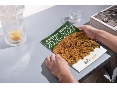 Catalog on a table with hands