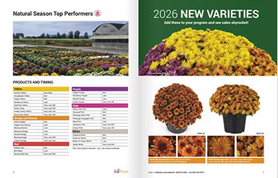 Opened catalog with flowers