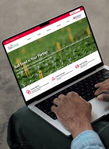 Someone working on a laptop