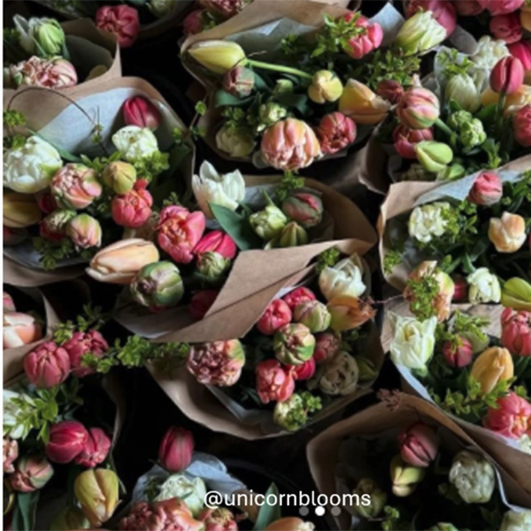 @unicornblooms Paper-wrapped bouquets of closed-budded tulips in soft pastel colors.