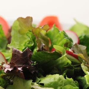 Heatwave Blend Lettuce - Bloom