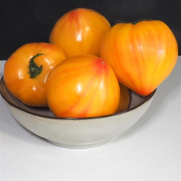 Love Gourmansun Sunrise Tomato - Container