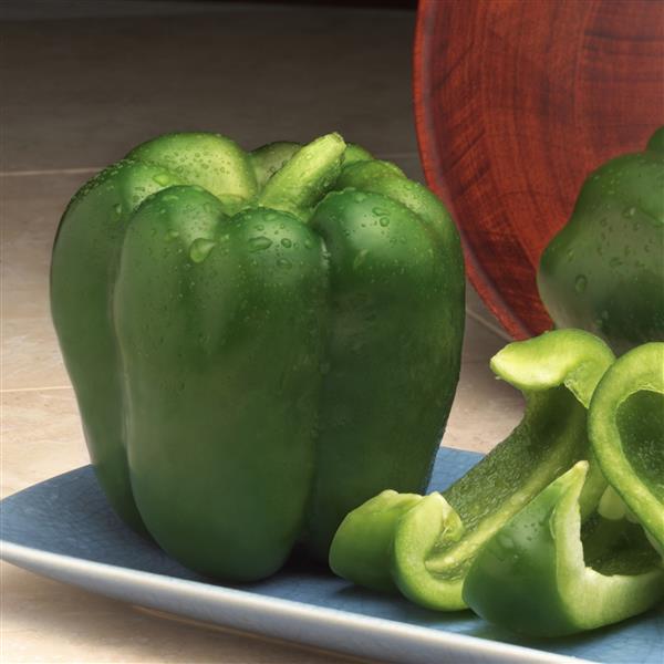 Hunter Pepper - Bloom