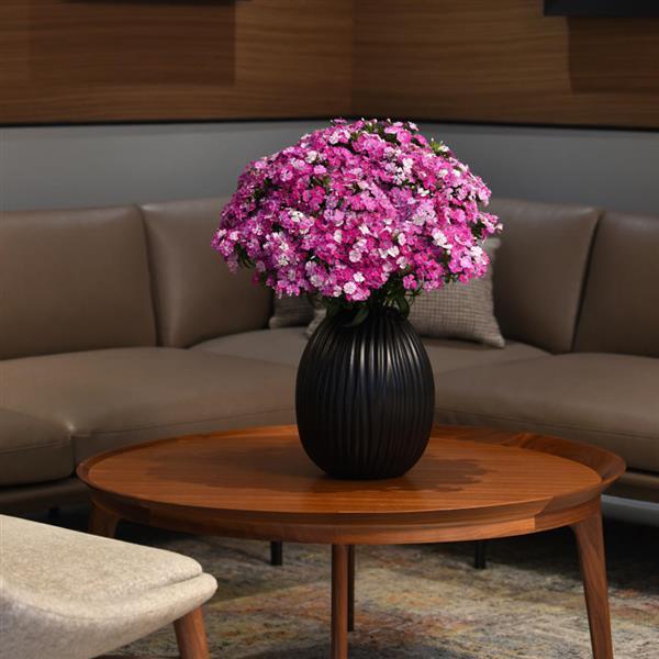 Amazon™ Lavender Magic Dianthus - Container