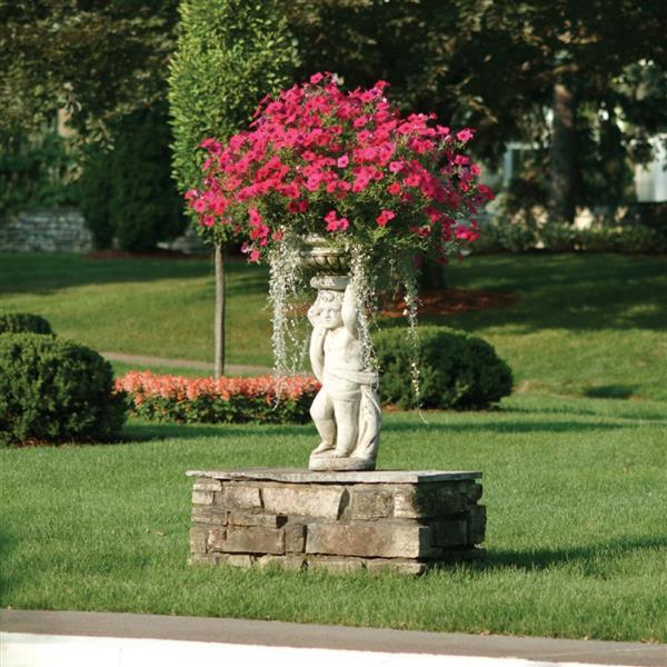 Tidal Wave® Cherry Spreading Petunia - Commercial Landscape 4