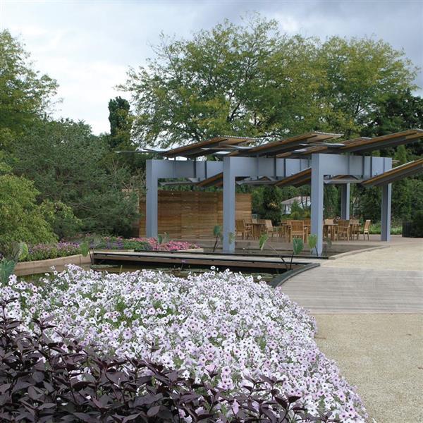 Tidal Wave® Silver Spreading Petunia - Commercial Landscape 2