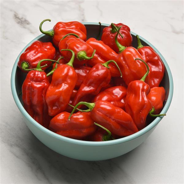 Roulette Pepper - Container