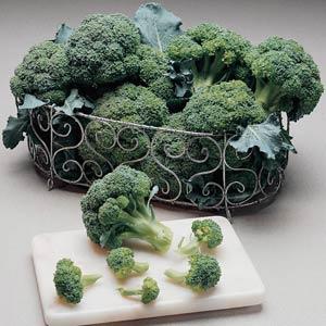 Flash Broccoli - Container
